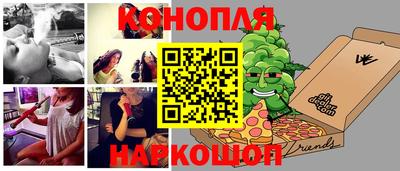 Альфа ПВП Малгобек