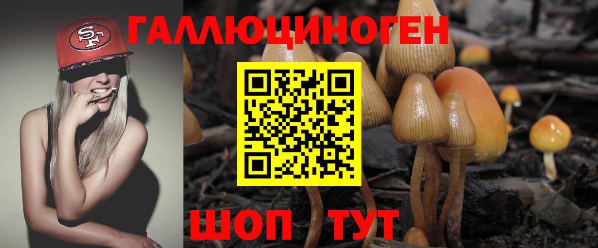 Галлюциногенные грибы ЛСД  Вход с VPN  наркотики  Волжский 